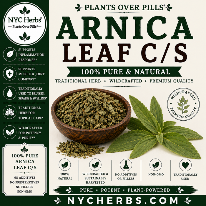 Arnica Leaf | Pain Relief & Circulation Support