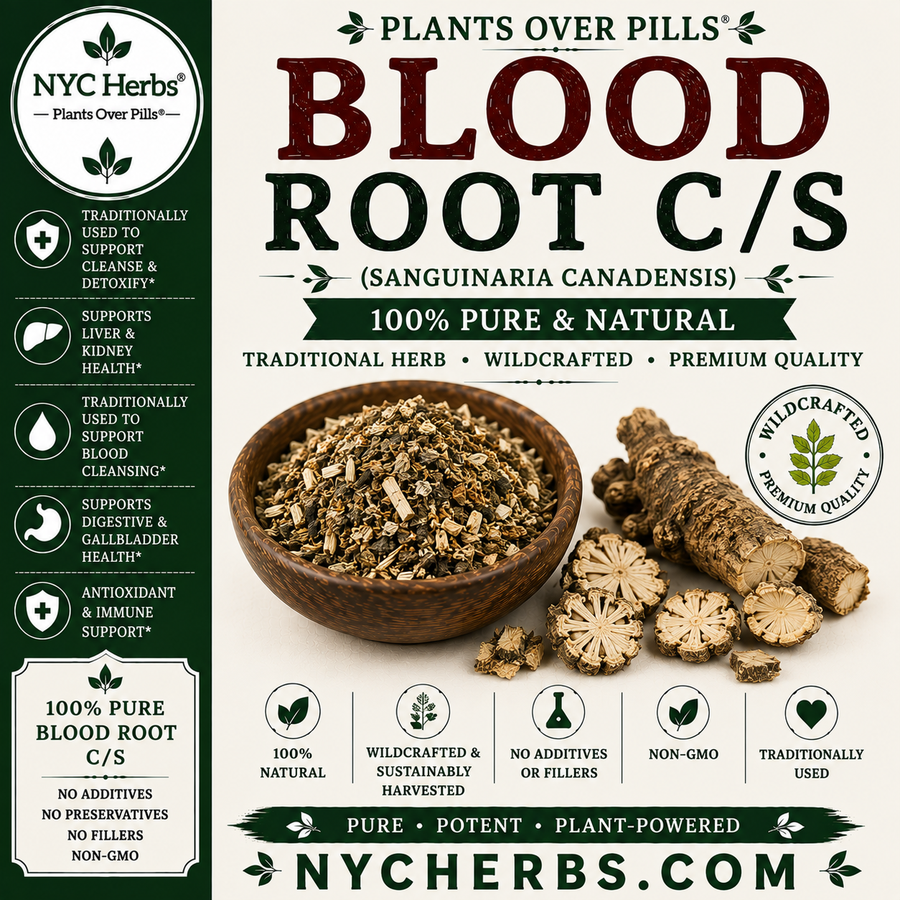 Blood Root c/s | Traditional Skin Remedy & Topical Support