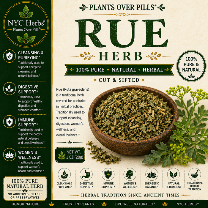 Rue Herb (Ruda) | Protection, Digestive & Circulatory Support
