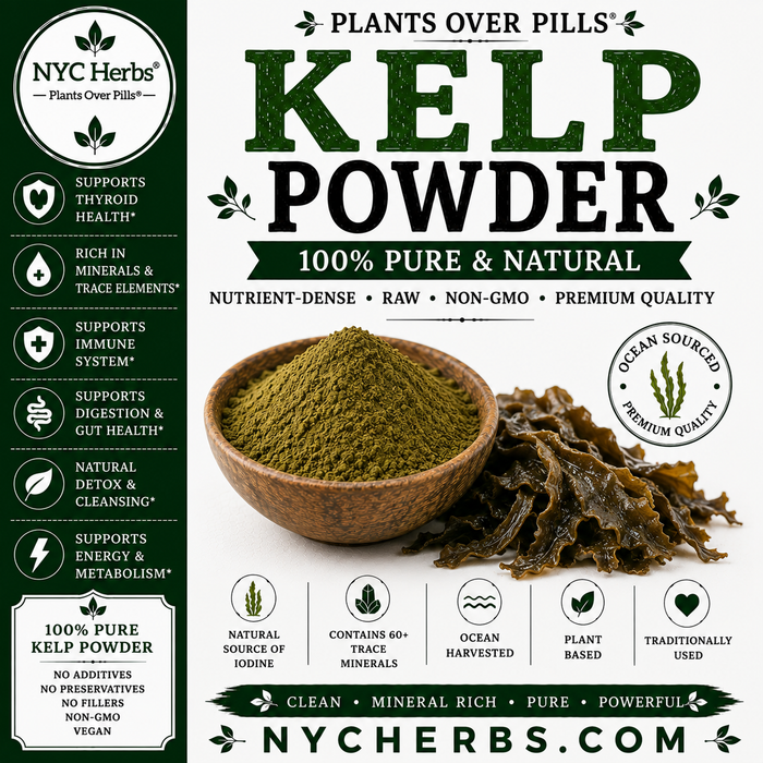 Kelp