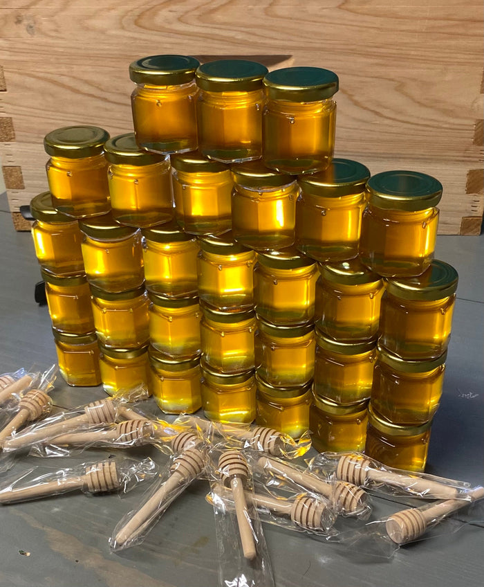 Wedding Favors and Unique Party Favors for Memorable Celebrations (60 count)