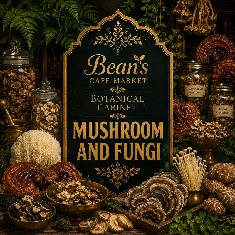 Mushrooms & Fungi