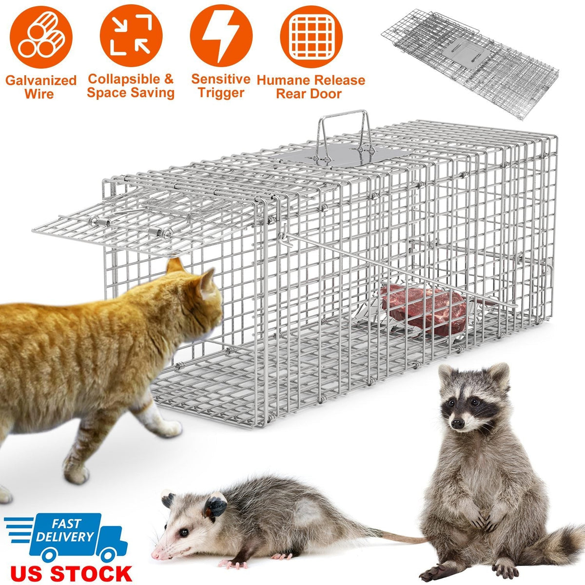 Humane Cat Trap Cage Catch Release Live Animal Rodent Cage Collapsible Galvanized Wire for Raccoons Beavers Groundhogs Foxes Armadillos