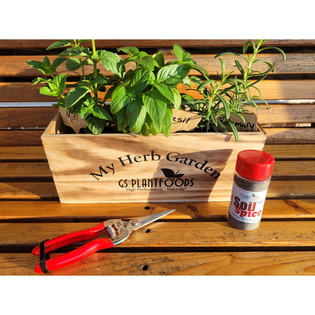 Herb Window Garden Gift Set- Complete windowsill herb garden growing kit