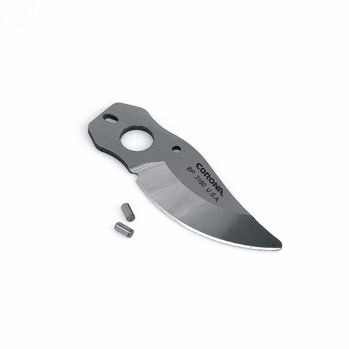 Corona BP 3180 - Replacement Blade