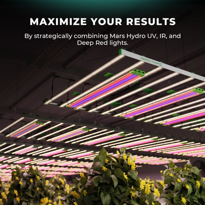 Mars Hydro Adlite UV30 UV Supplemental LED Grow Light Bar (2-Pack)