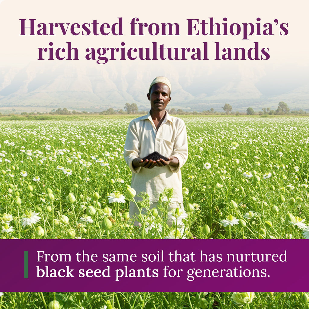 Ethiopian Black Seed Oil 4.2oz (GLASS)