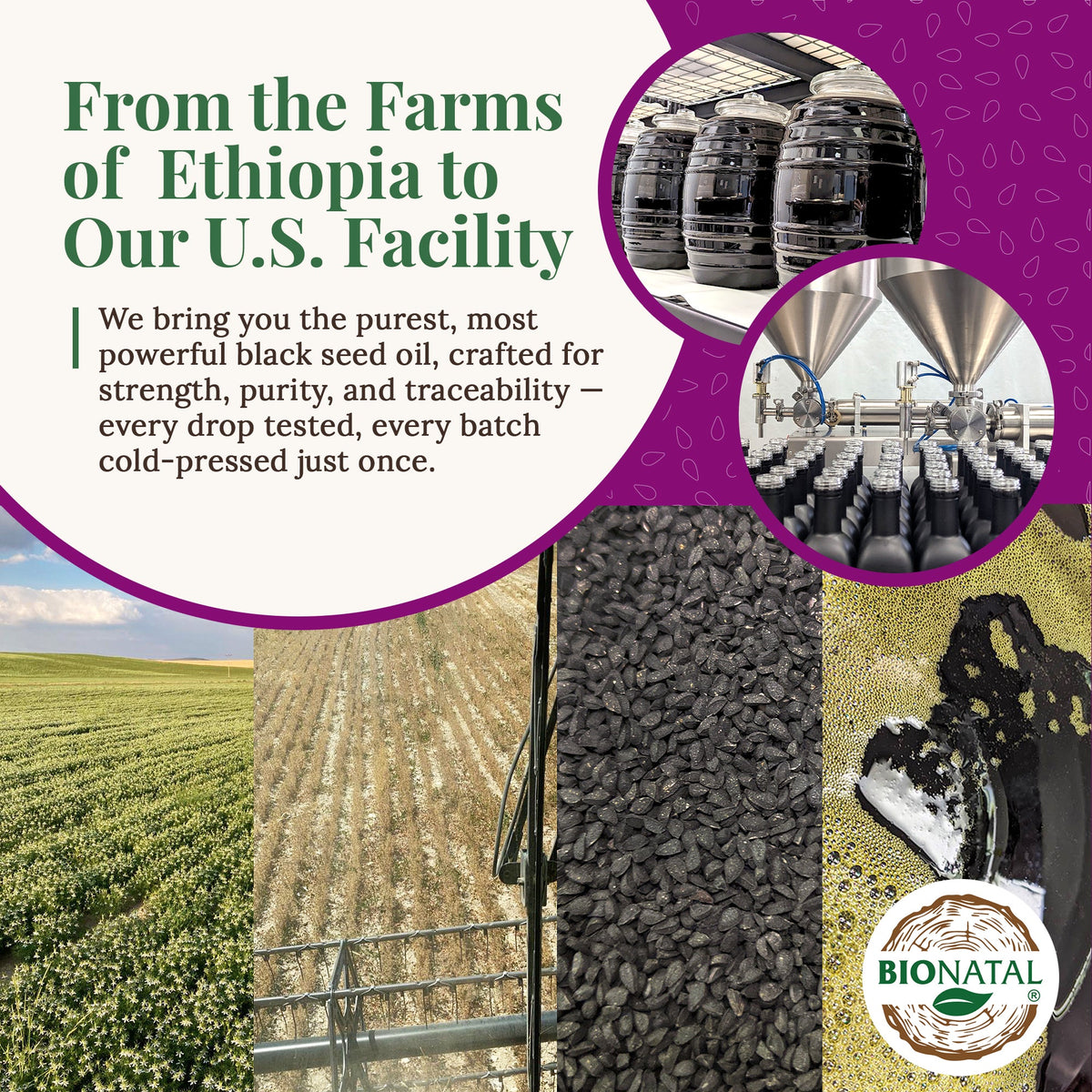 Ethiopian Black Seed Oil 4.2oz (GLASS)