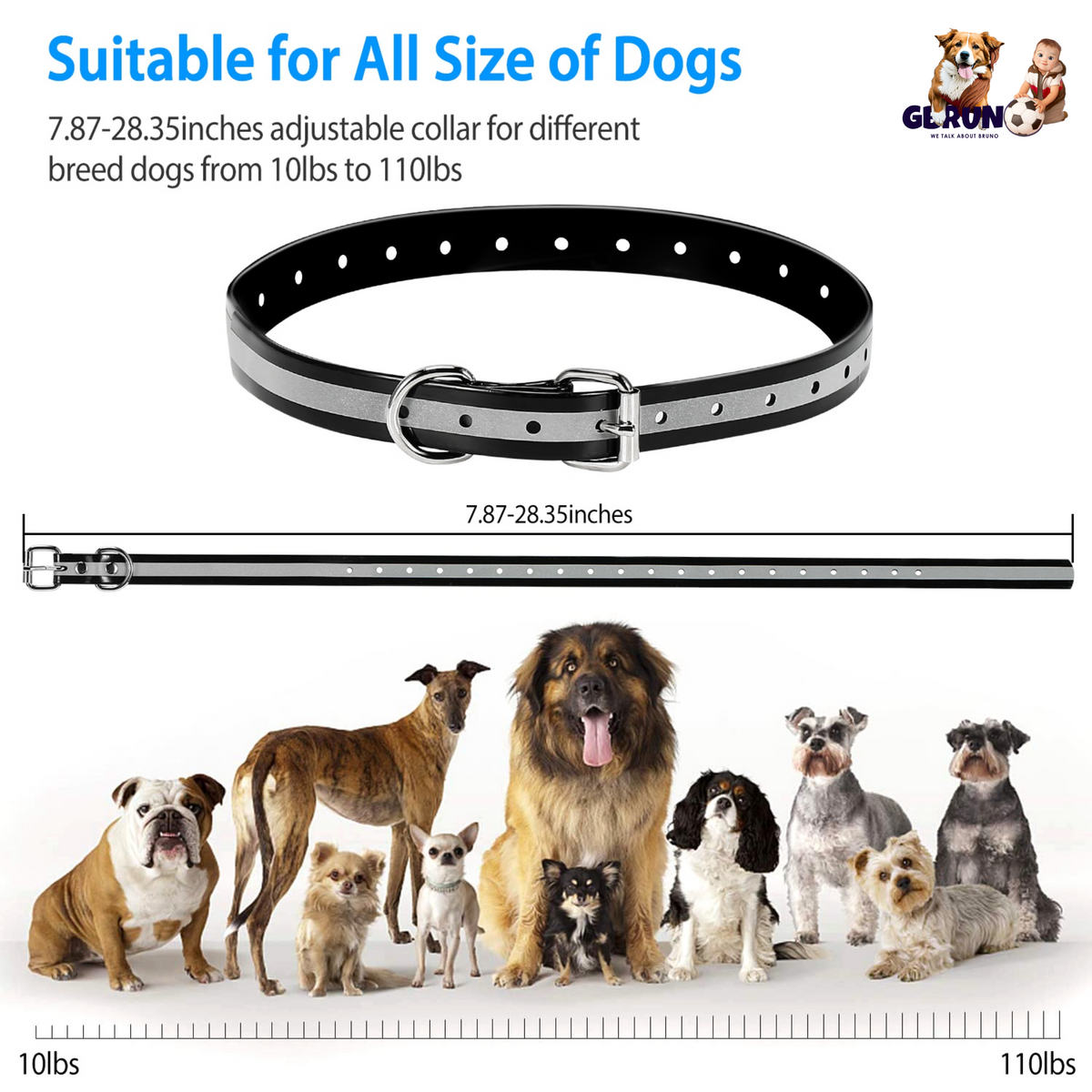 GBruno Dog Training Collar Dog