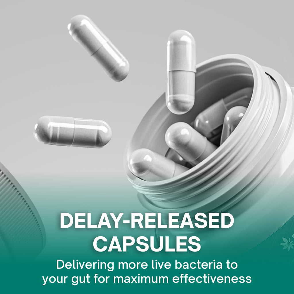 Christensenella Minuta and Akkermansia, Bifidobacterium longum, 8 Probiotic Strains, 50 Billion CFU with Cranberry Extract, Gut Health & Immune Support