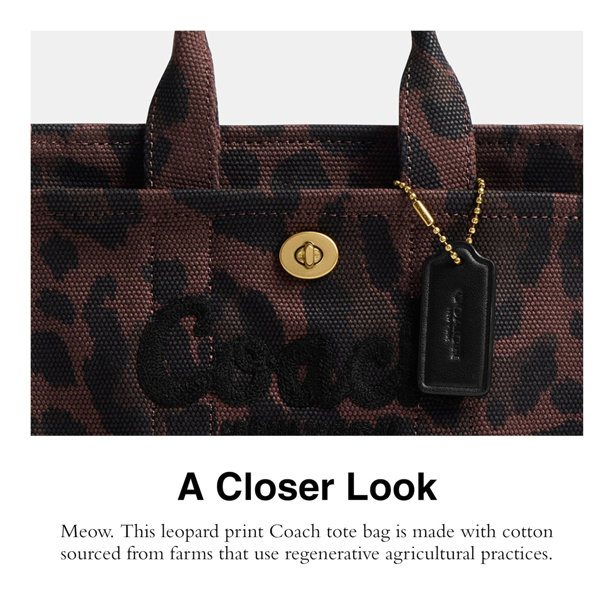 Coach Women's Leopard Cargo Tote 20