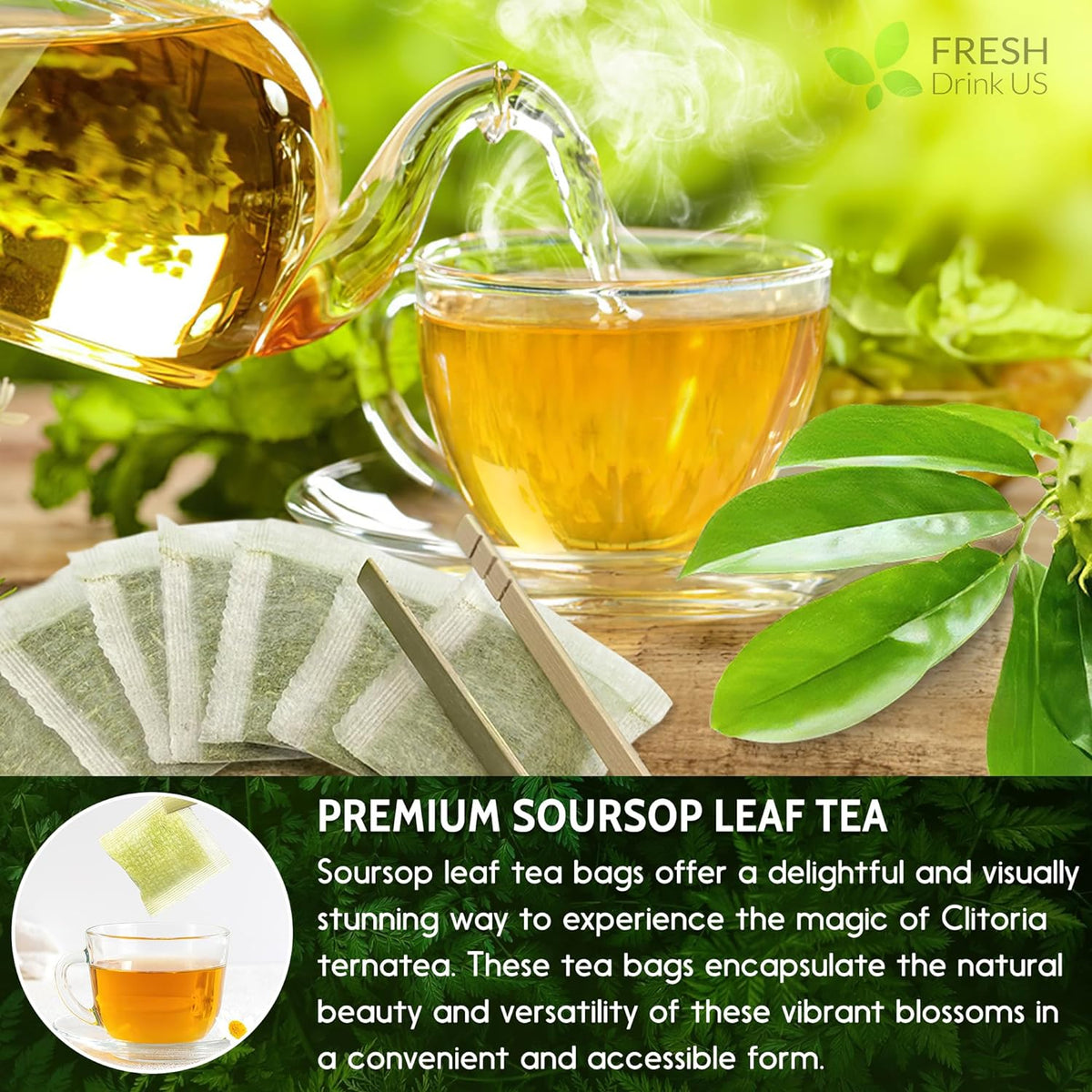 Soursop (Graviola) Leaf Tea Bags