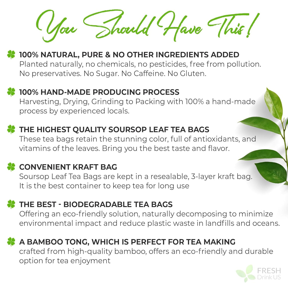 Soursop (Graviola) Leaf Tea Bags