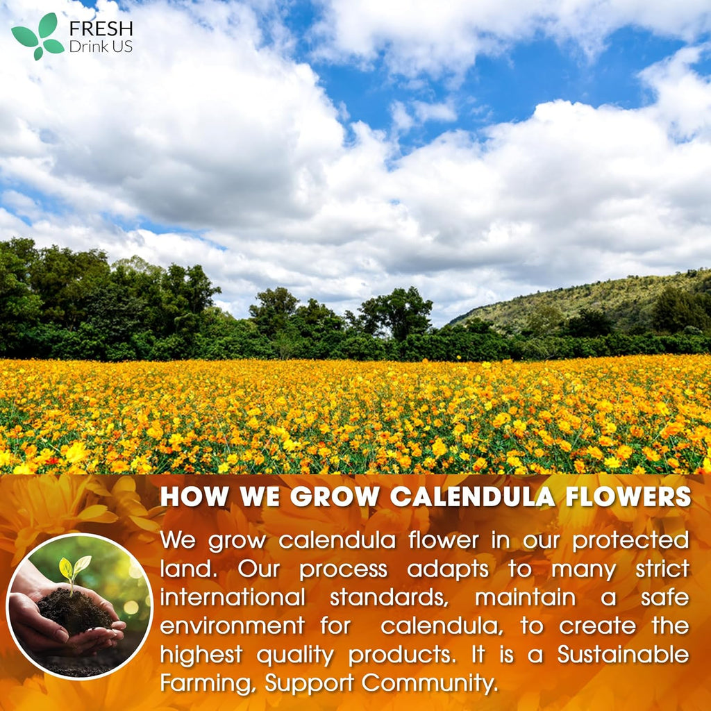 Calendula Flower Herbal Tea Bags