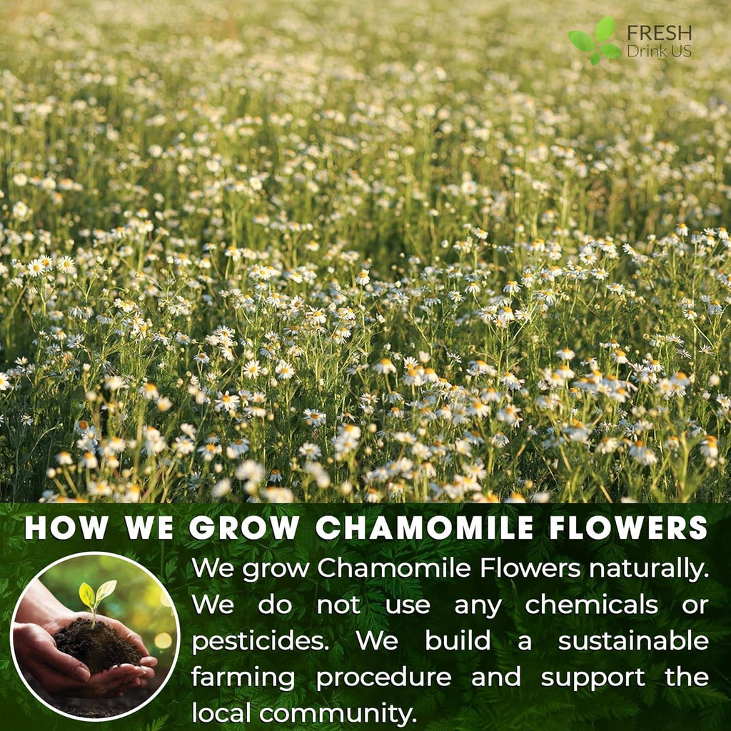 Chamomile Flower Tea Bags