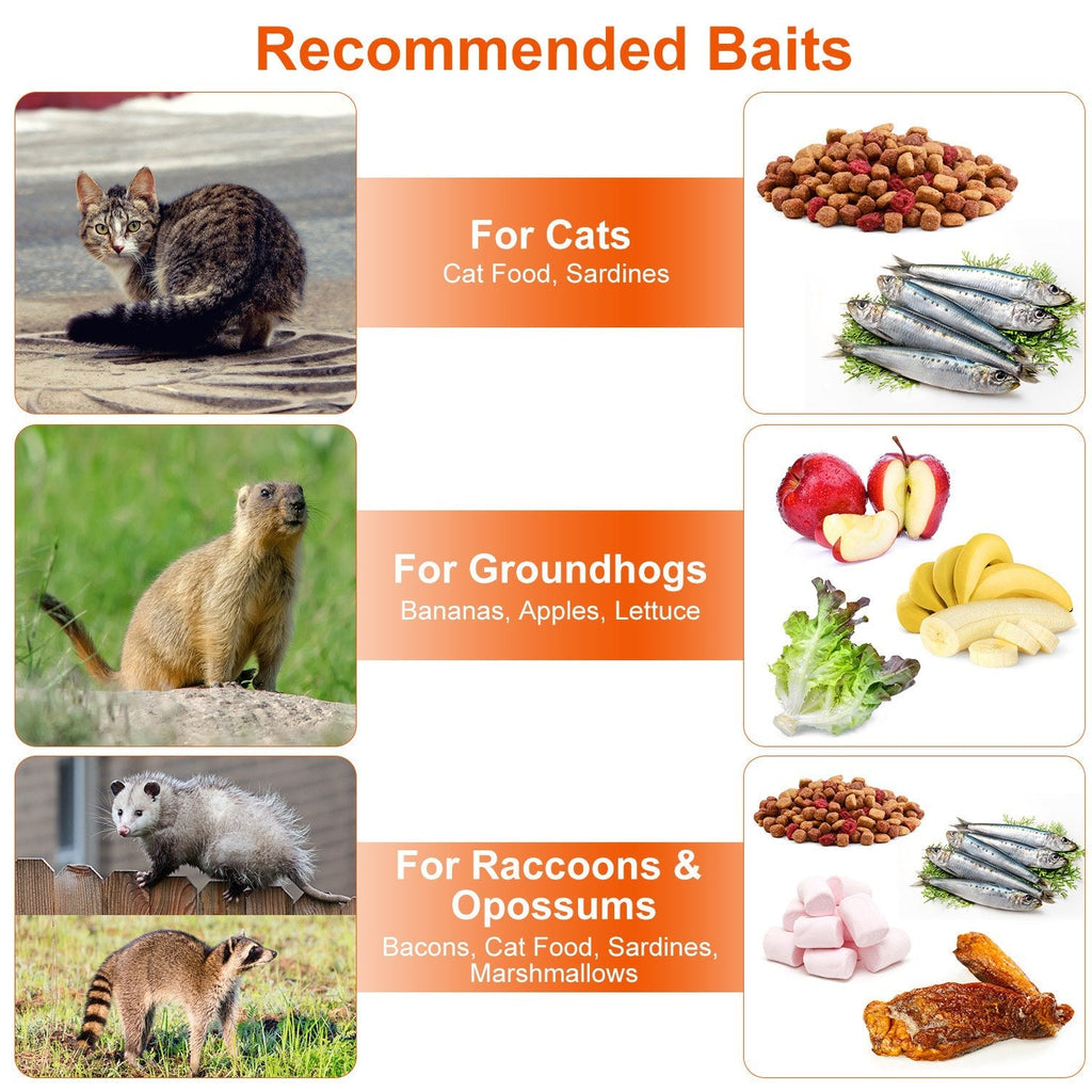 Live Animal Trap Cage 37x14x15in Folding Catch and Release Humane Cat Trap Galvanized Iron for Raccoons Foxes Coyotes Stray Dogs Armadillos Squirrels