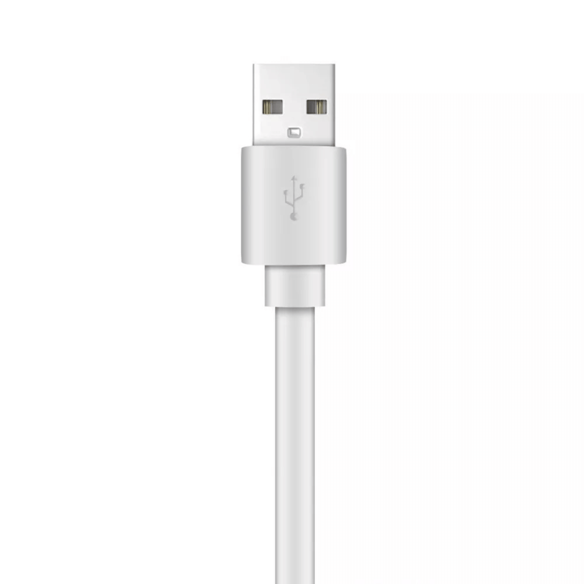 Xyst Charge and Sync USB to USB-C Flat Cable 4Ft