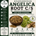 Angelica Root c/s