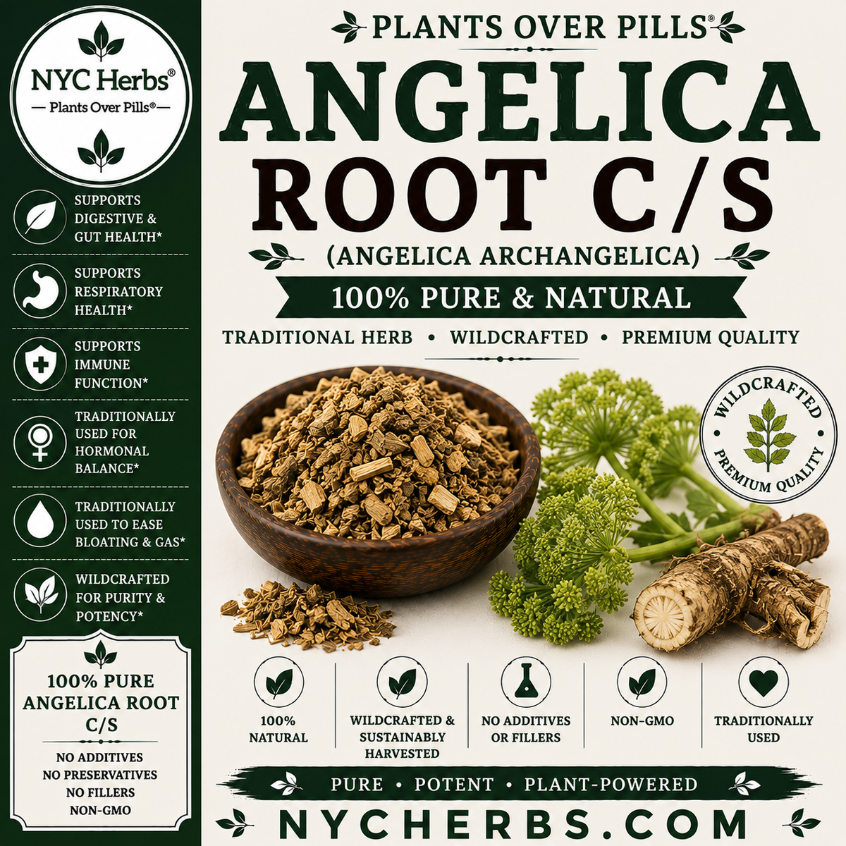 Angelica Root c/s