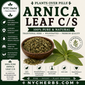 Arnica Leaf | Pain Relief & Circulation Support