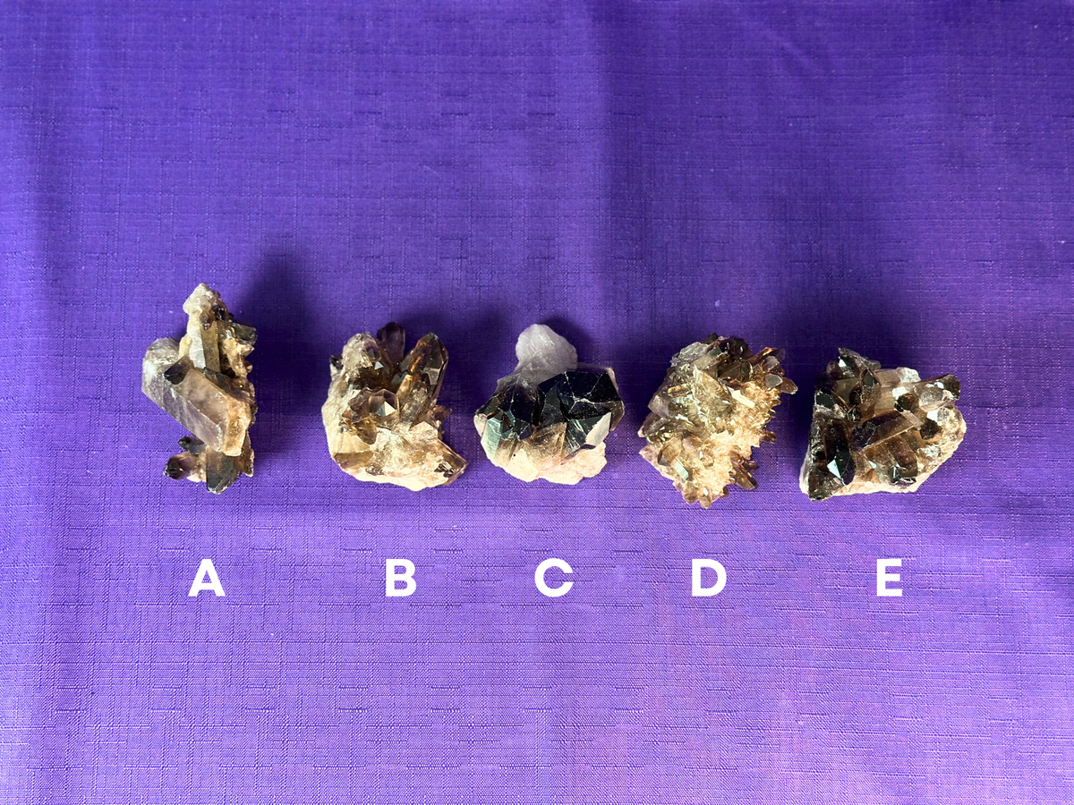 Smoky Quartz Cluster | 2-3" Natural Smoky Quartz Crystals