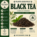 Black Tea | Antioxidants, Mental Clarity & Heart Wellness