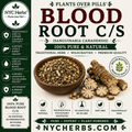 Blood Root c/s | Traditional Skin Remedy & Topical Support