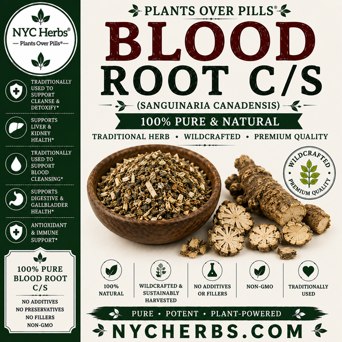 Blood Root c/s | Traditional Skin Remedy & Topical Support
