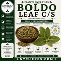 Boldo Leaf | Liver Cleanse & Digestive Support