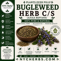 Bugleweed Herb