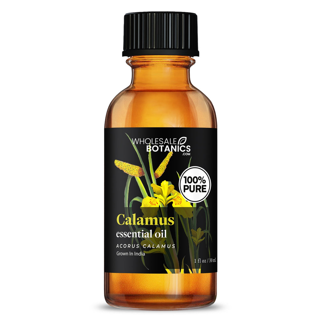 Calamus Essential Oil