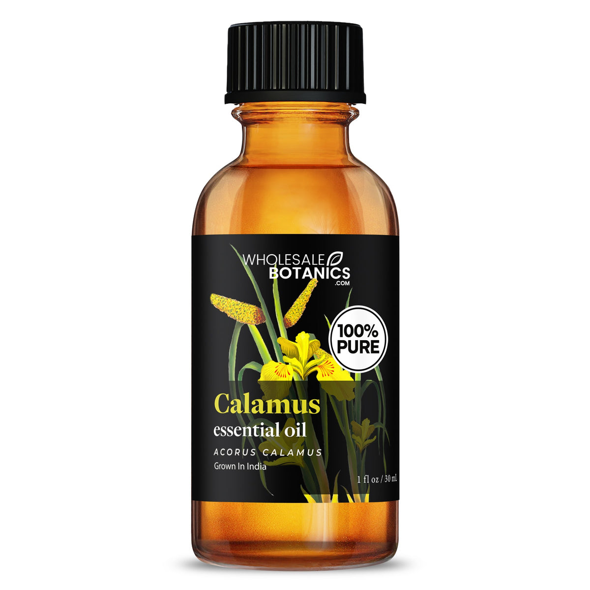 Calamus Essential Oil