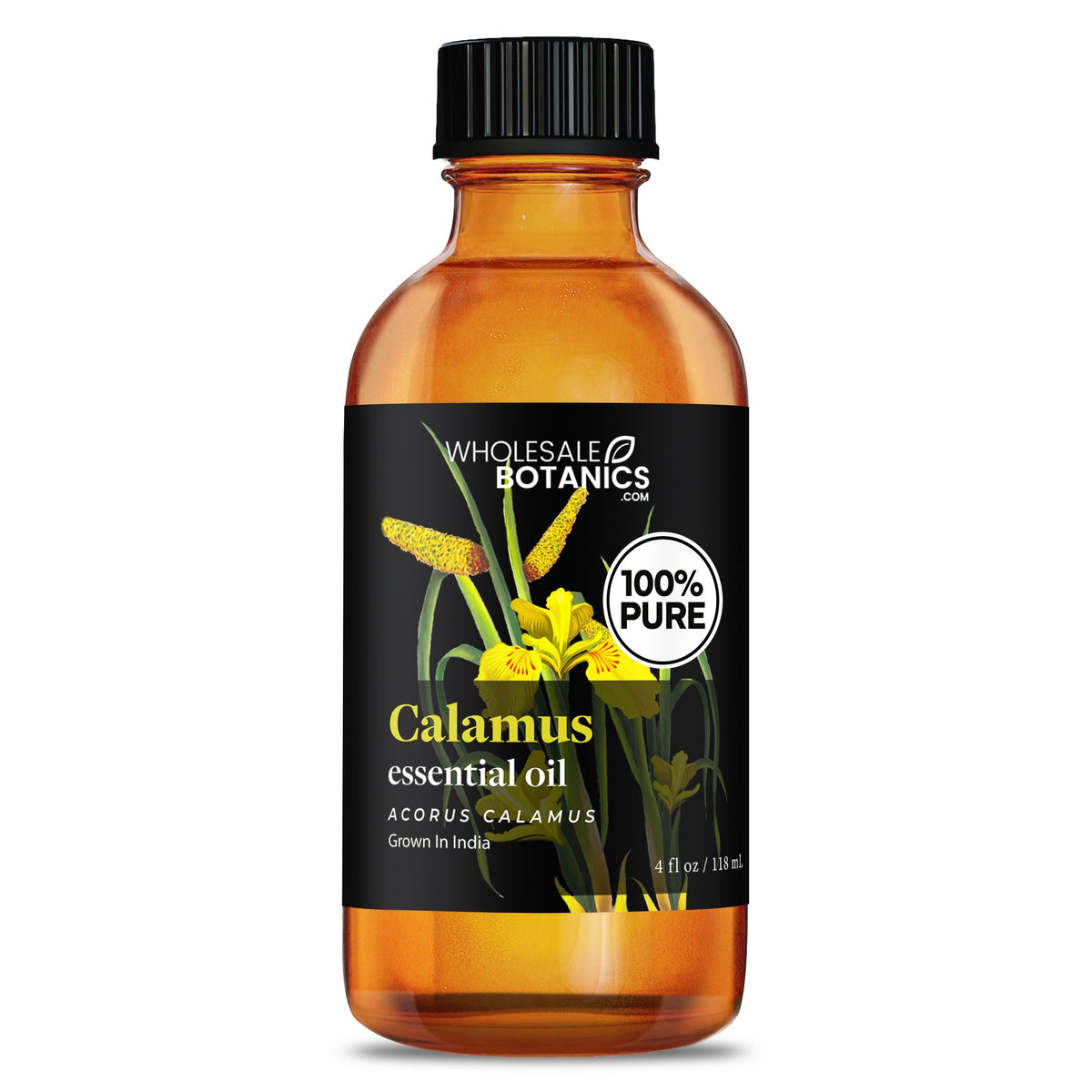 Calamus Essential Oil