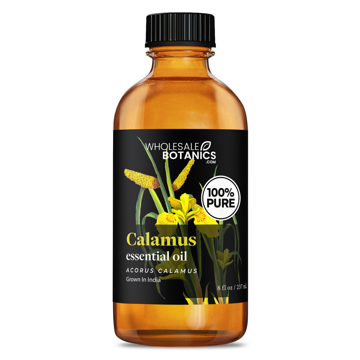 Calamus Essential Oil