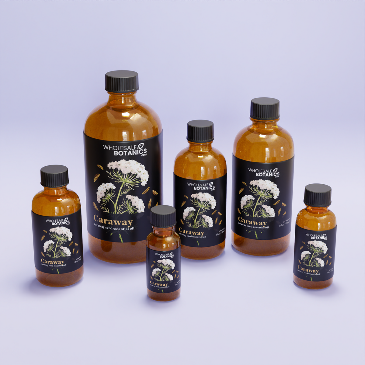 Caraway Essential Oil