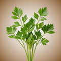 Celery (Cutting) Seeds