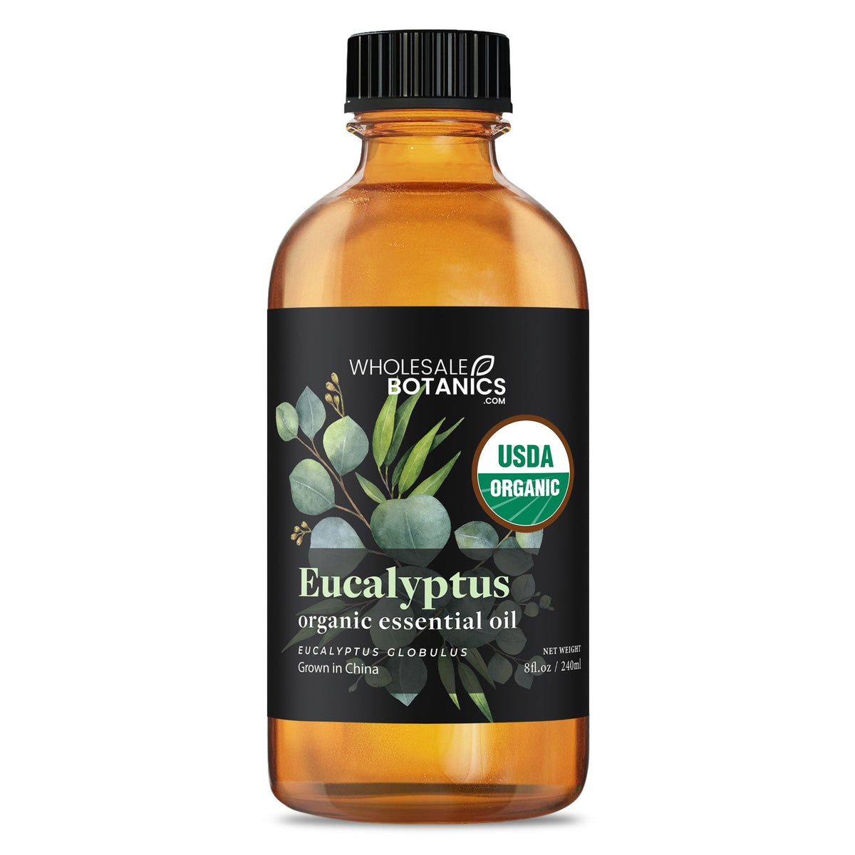 Organic Eucalyptus Essential Oil