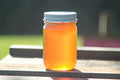 Raw Wildflower Honey 16 oz.