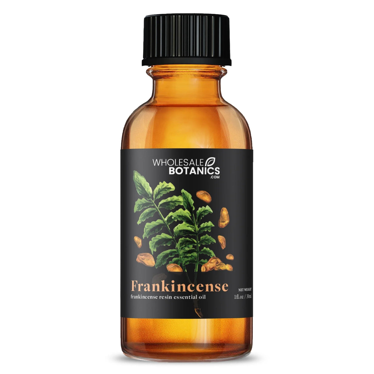 Most Popular Essential Oils Sample Kit
