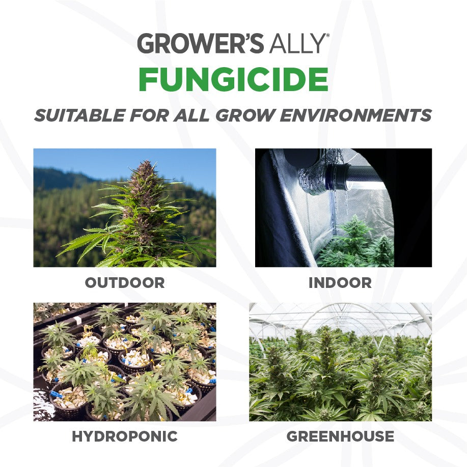 Grower's Ally Fungicide 1 Gallon Concentrate - Case of 4