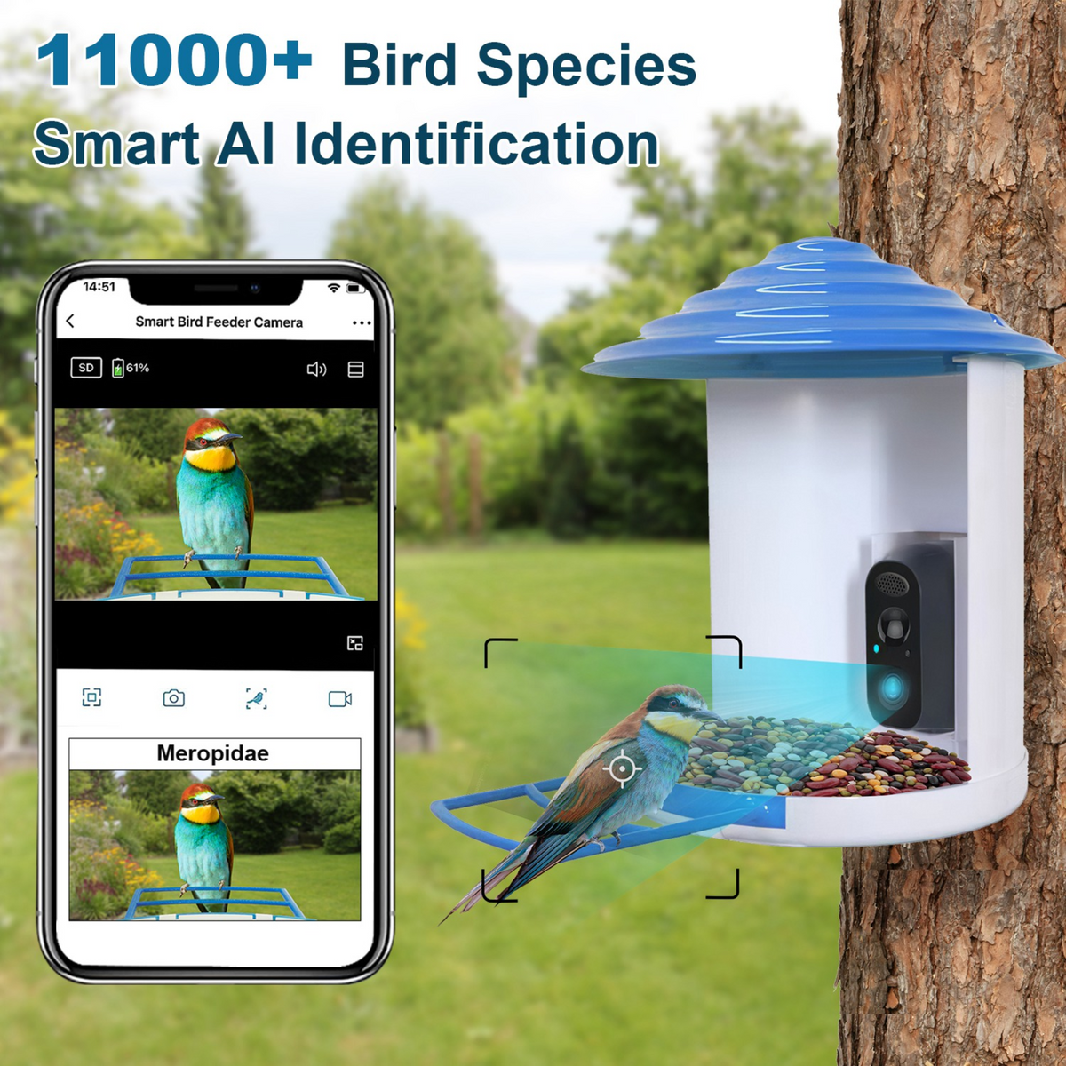 Smart Bird Feeder with Solar Powered Camera 1080P HD AI Identify PIR Motion Auto Capture Video Cloud Card Storage WiFi Connection App Control IP65 Wat