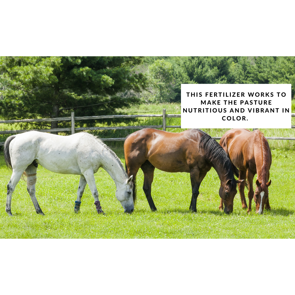 Hay & Pasture Formula – Pasture Fertilizer | GS Plant Foods