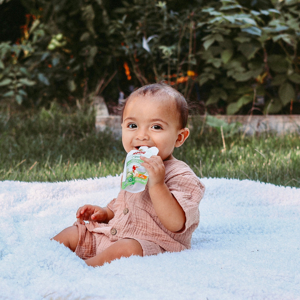 Holle Organic Apple & Pear Yogurt Pouches