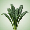 Kale (Mamba) Seeds