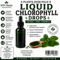 Liquid Chlorophyll Drops
