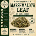 Marshmallow Leaf | Soothing Respiratory & Digestive Comfort