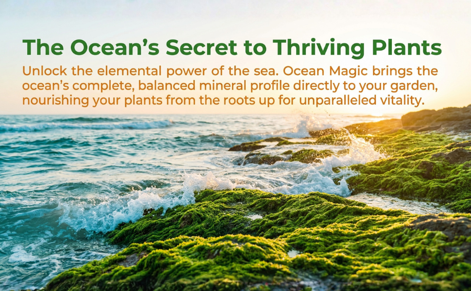 Ocean Magic Sea Minerals