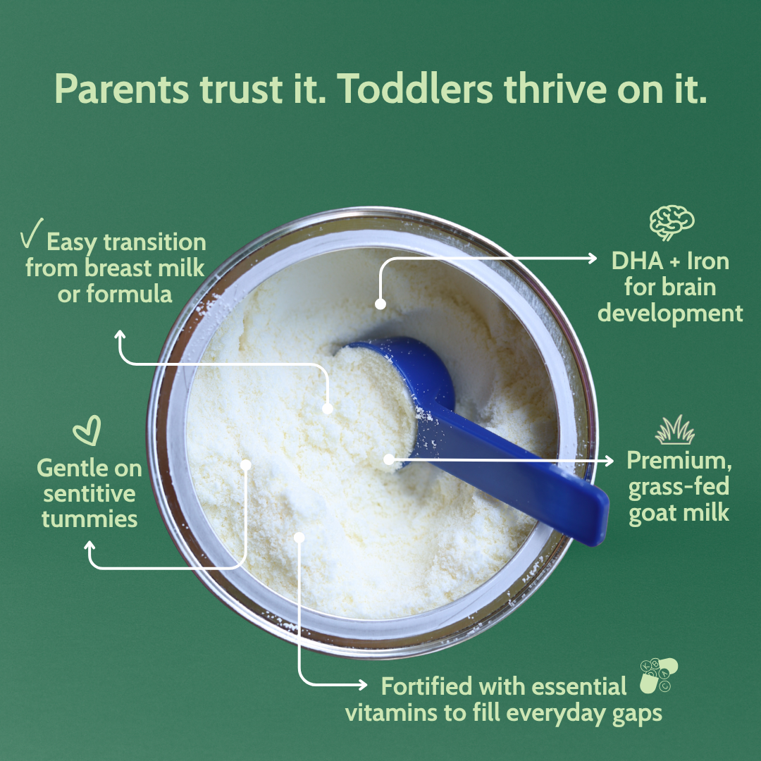 Holle Goat Milk Toddler Drink | Stage 3 (14 oz)