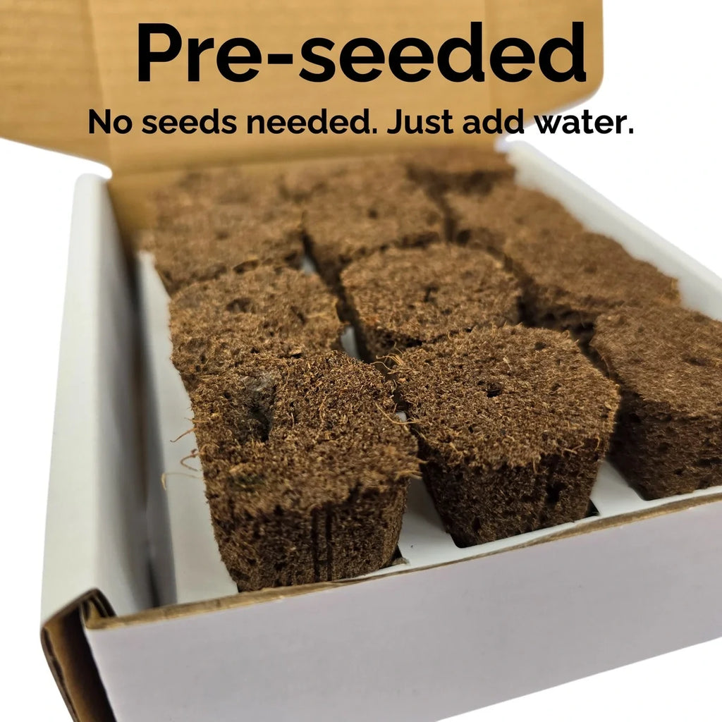 Grab & Grow Pre-Seeded Starter Kit