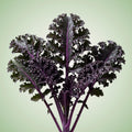 Kale (Frisé Rouge) Seeds